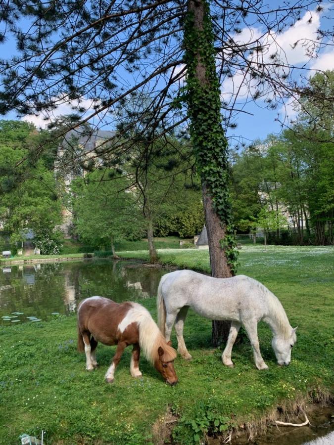 Saint-Paterne-Racan Gite Familial Chateau La Roche Racan מראה חיצוני תמונה
